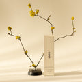 Naturally Whitening Toothpaste product packaging carton for Laro describing our SLS and fluoride free toothpaste, next to an ikebana with yellow flowering branch.
